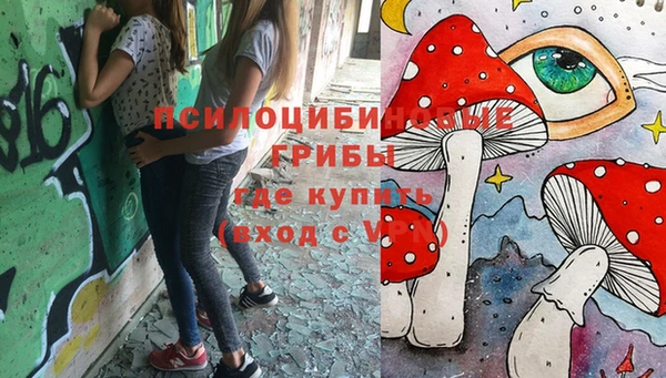 кокс Алзамай